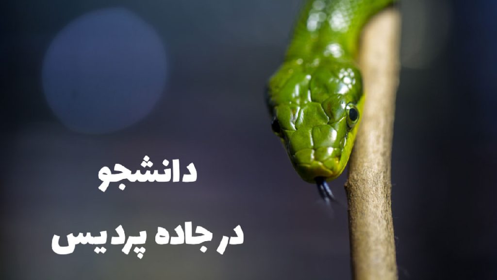 005-دانشجو-در-جاده-پردیس