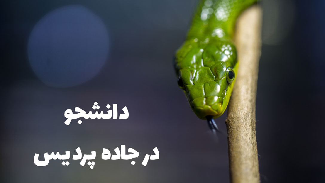 005-دانشجو-در-جاده-پردیس